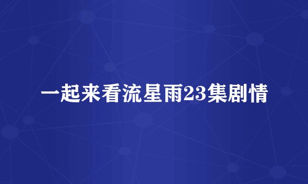 一起来看流星雨23集剧情