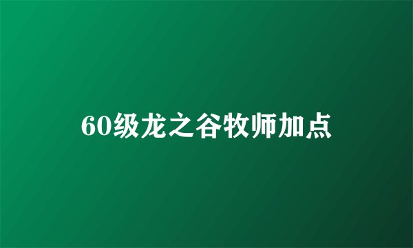 60级龙之谷牧师加点