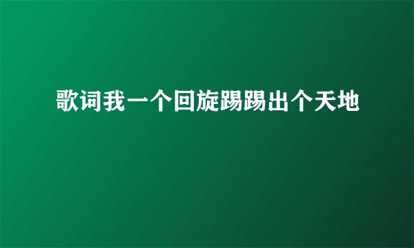 歌词我一个回旋踢踢出个天地