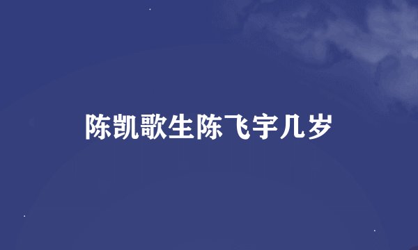 陈凯歌生陈飞宇几岁