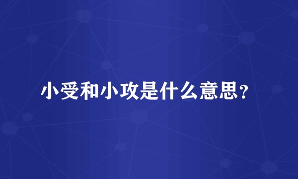 小受和小攻是什么意思？