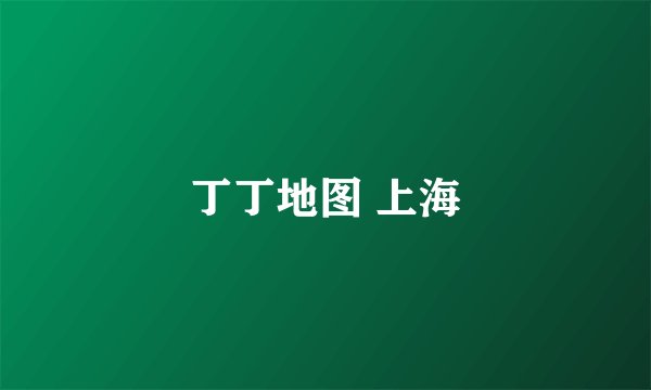 丁丁地图 上海