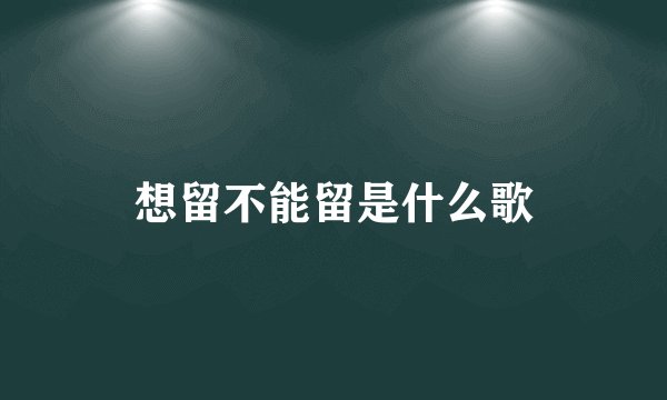 想留不能留是什么歌
