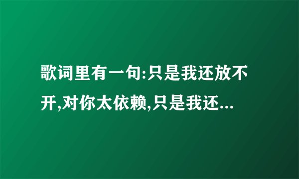 歌词里有一句:只是我还放不开,对你太依赖,只是我还不能够释怀
