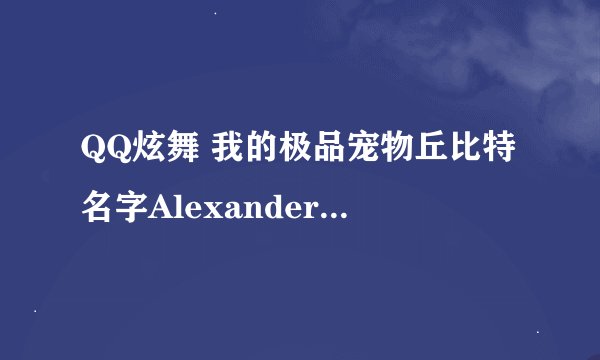 QQ炫舞 我的极品宠物丘比特名字Alexanderゝ 为什么 是血B防C速度D运气D攻A技S属性好差 怎么回事