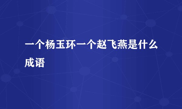 一个杨玉环一个赵飞燕是什么成语