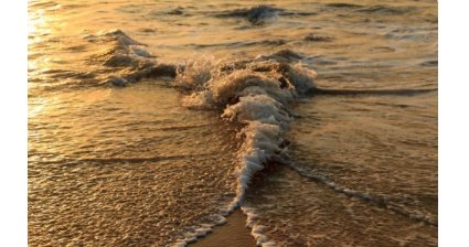 后浪推前浪,前浪死在沙滩上,下一句是什么？
