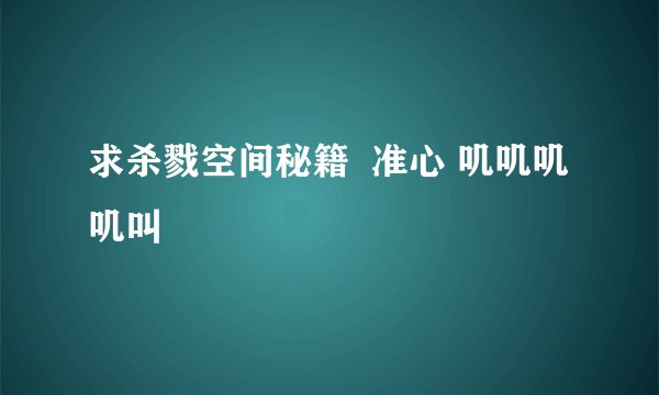 求杀戮空间秘籍  准心 叽叽叽叽叫