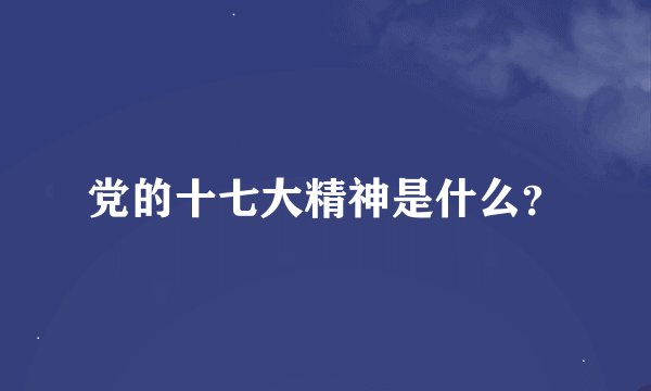 党的十七大精神是什么？