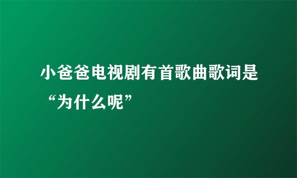 小爸爸电视剧有首歌曲歌词是“为什么呢”