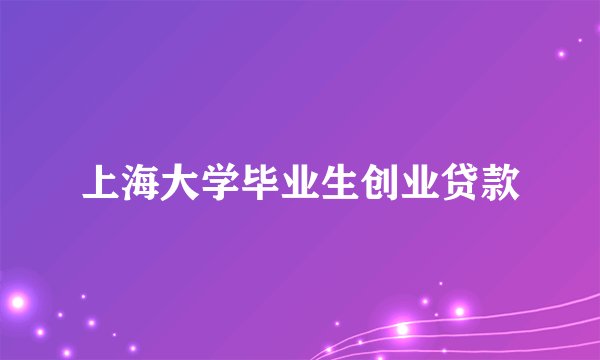 上海大学毕业生创业贷款