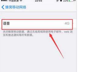 iPhone5可以使用移动4G吗?