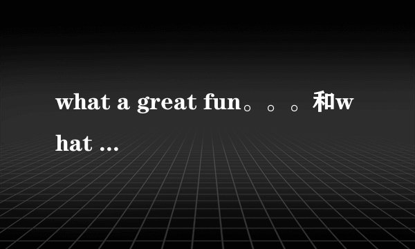 what a great fun。。。和what great fun。。。哪个正确?