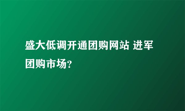 盛大低调开通团购网站 进军团购市场？