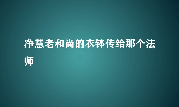 净慧老和尚的衣钵传给那个法师