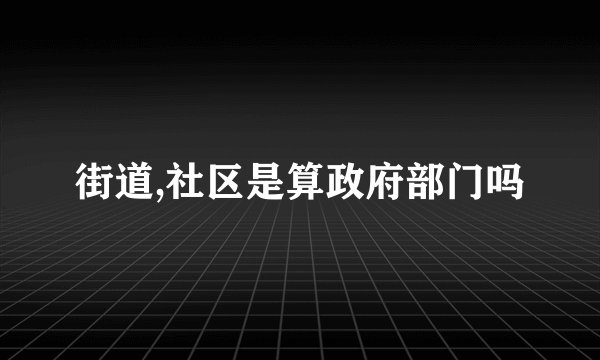 街道,社区是算政府部门吗
