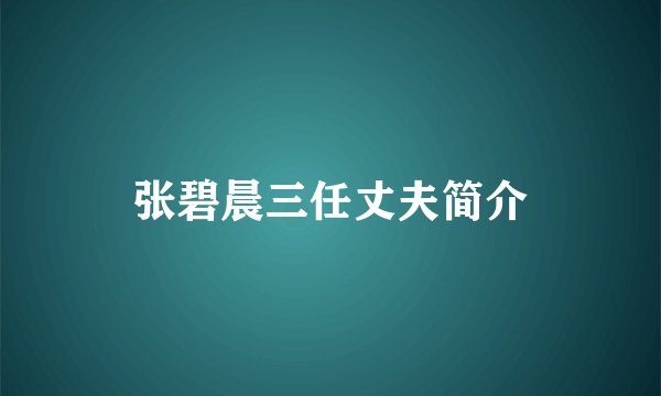 张碧晨三任丈夫简介