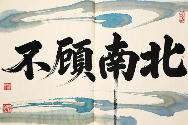 不顾南北打一成语