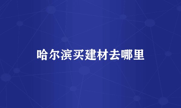 哈尔滨买建材去哪里