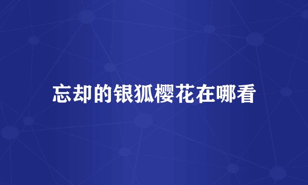 忘却的银狐樱花在哪看