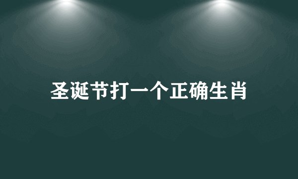 圣诞节打一个正确生肖