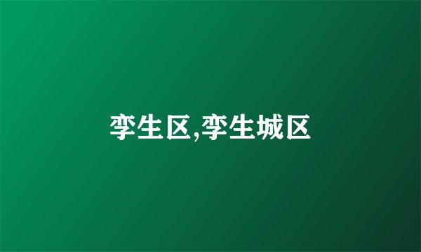孪生区,孪生城区