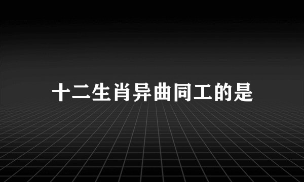 十二生肖异曲同工的是