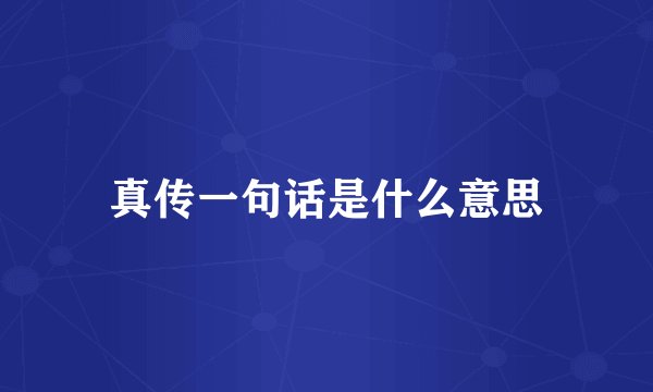 真传一句话是什么意思