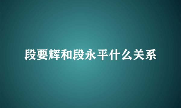 段要辉和段永平什么关系