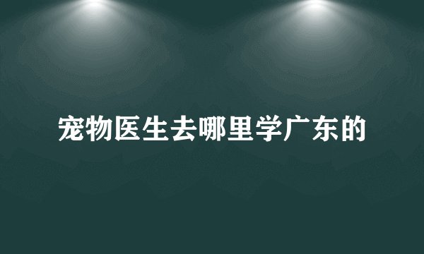 宠物医生去哪里学广东的