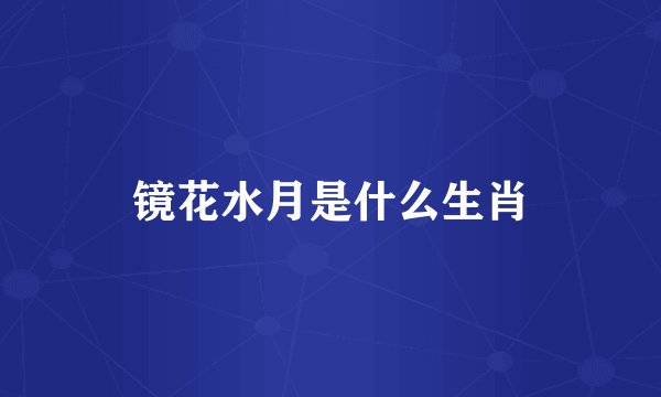 镜花水月是什么生肖