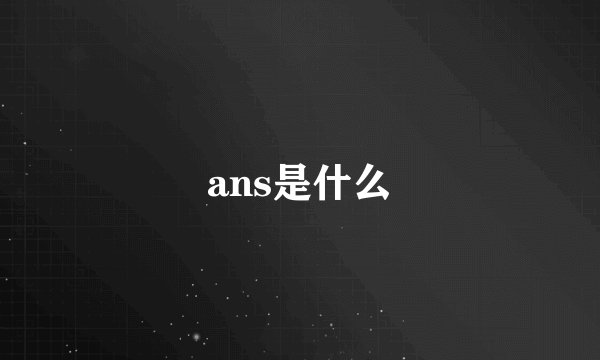 ans是什么