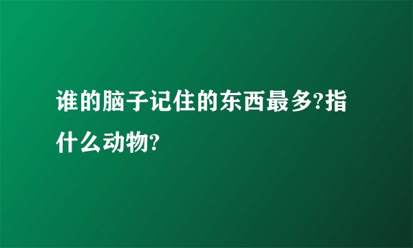 谁的脑子记住的东西最多?指什么动物?
