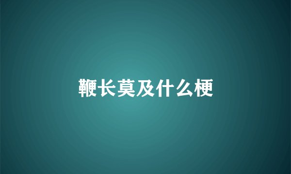 鞭长莫及什么梗