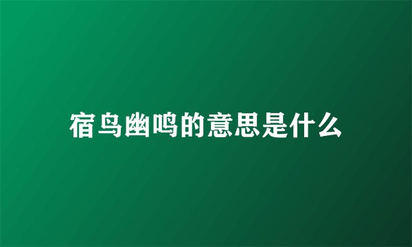 宿鸟幽鸣的意思是什么