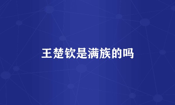 王楚钦是满族的吗