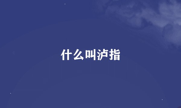 什么叫泸指