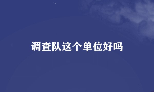 调查队这个单位好吗
