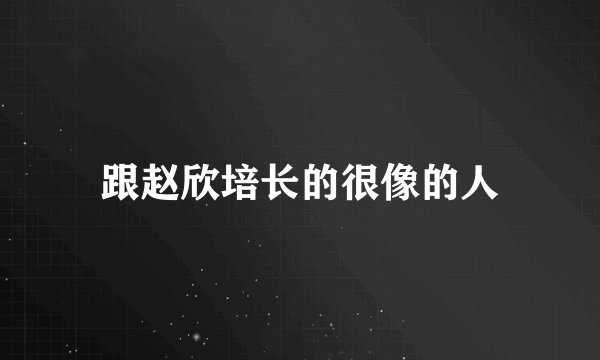 跟赵欣培长的很像的人