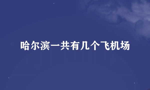 哈尔滨一共有几个飞机场