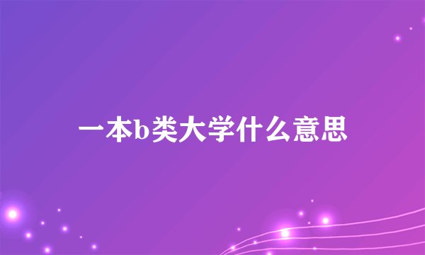 一本b类大学什么意思
