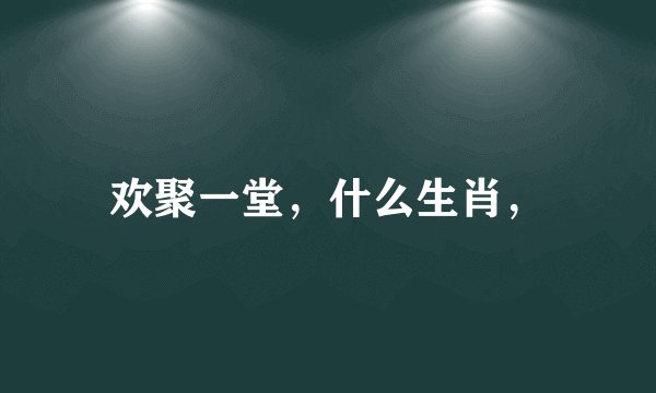 欢聚一堂，什么生肖，