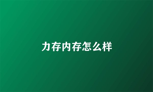 力存内存怎么样