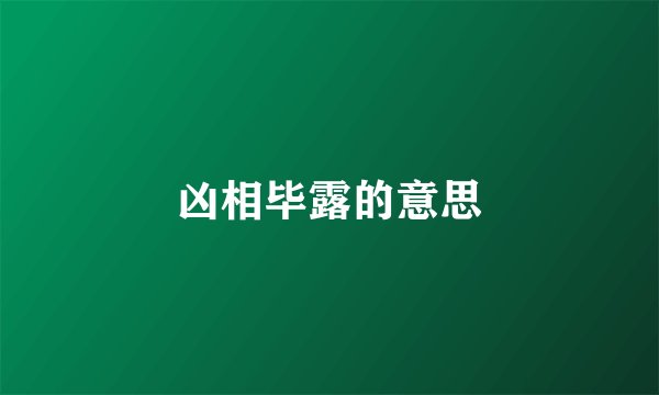 凶相毕露的意思
