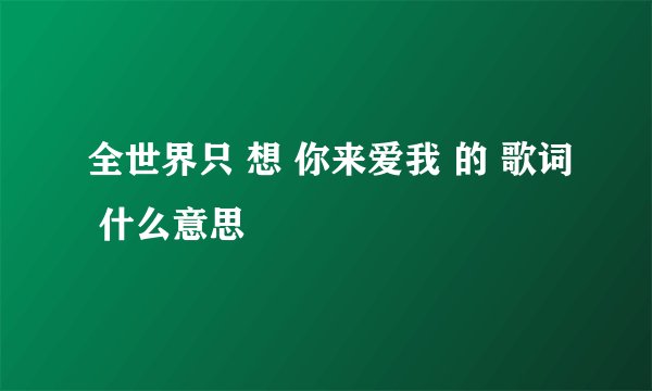 全世界只 想 你来爱我 的 歌词 什么意思