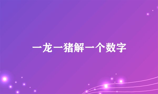 一龙一猪解一个数字