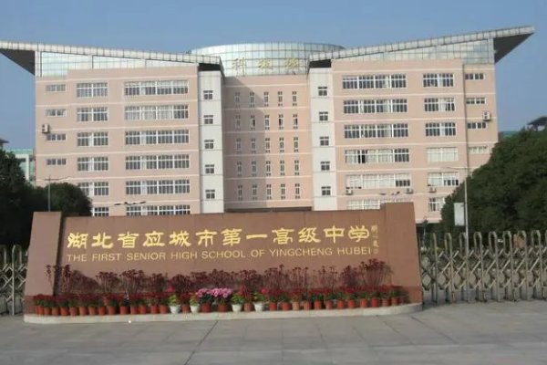 应城一中教师名单