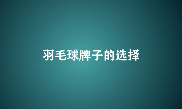 羽毛球牌子的选择