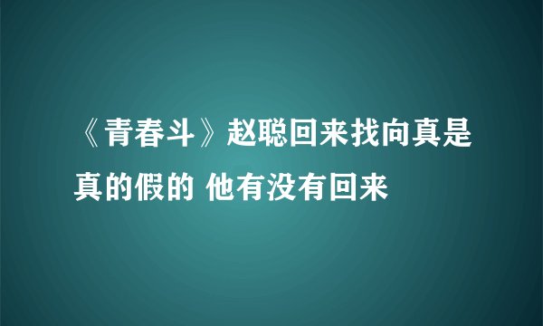 《青春斗》赵聪回来找向真是真的假的 他有没有回来
