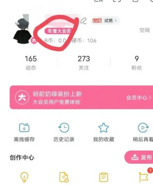 b站年度小会员是什么东西